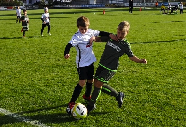 Nachwuchsbericht KW42